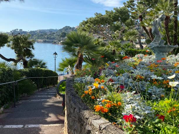 conception de jardin à Cannes